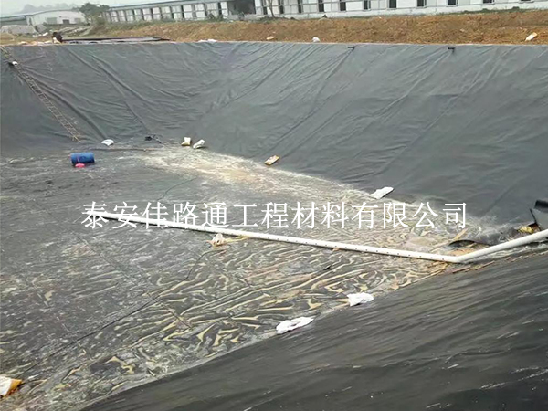 HDPE土工膜在魚(yú)蝦養(yǎng)殖項(xiàng)目中的重要性 HDPE土工膜在魚(yú)蝦養(yǎng)殖項(xiàng)目中的重要性