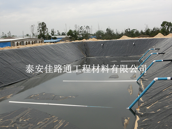 防滲膜:魚蝦養(yǎng)殖的綠色守護(hù)者 防滲膜:魚蝦養(yǎng)殖的綠色守護(hù)者