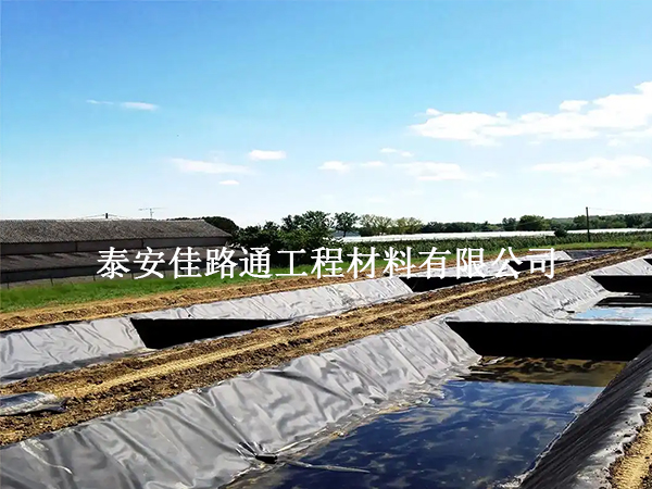 魚塘防滲土工膜：魚兒成長的雙刃劍？