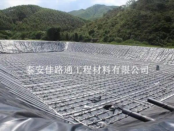 水產(chǎn)養(yǎng)殖新寵：防滲土工膜帶來(lái)革命性變革