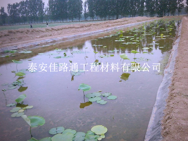 養(yǎng)殖防滲膜施工別大意，這些控制要點(diǎn)要抓實